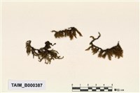 藏品(假懸苔)的圖片